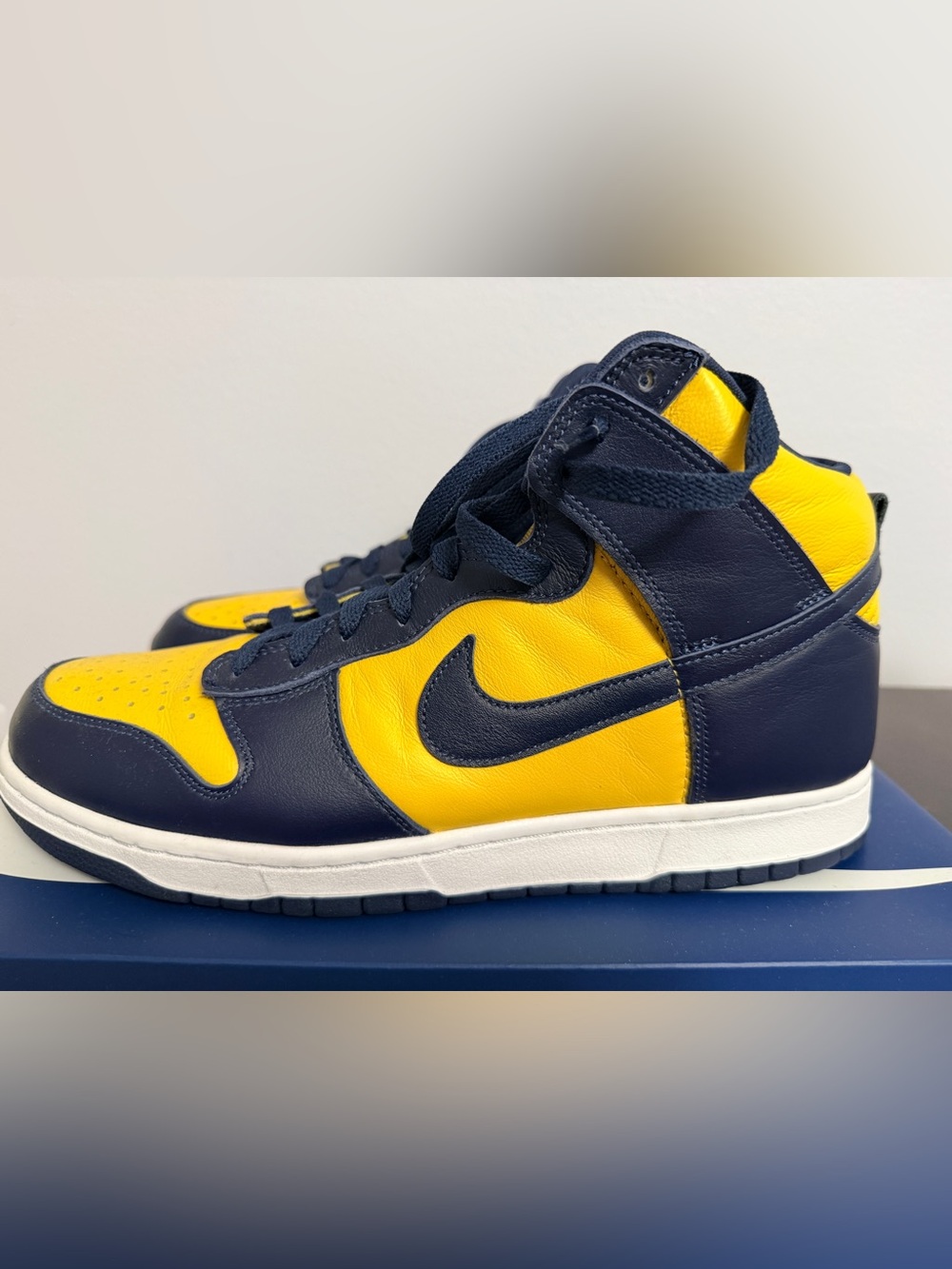 Nike Dunk High Michigan